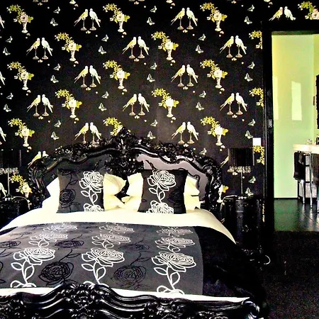 Bed & Breakfast Maison De Plumes Heuchin